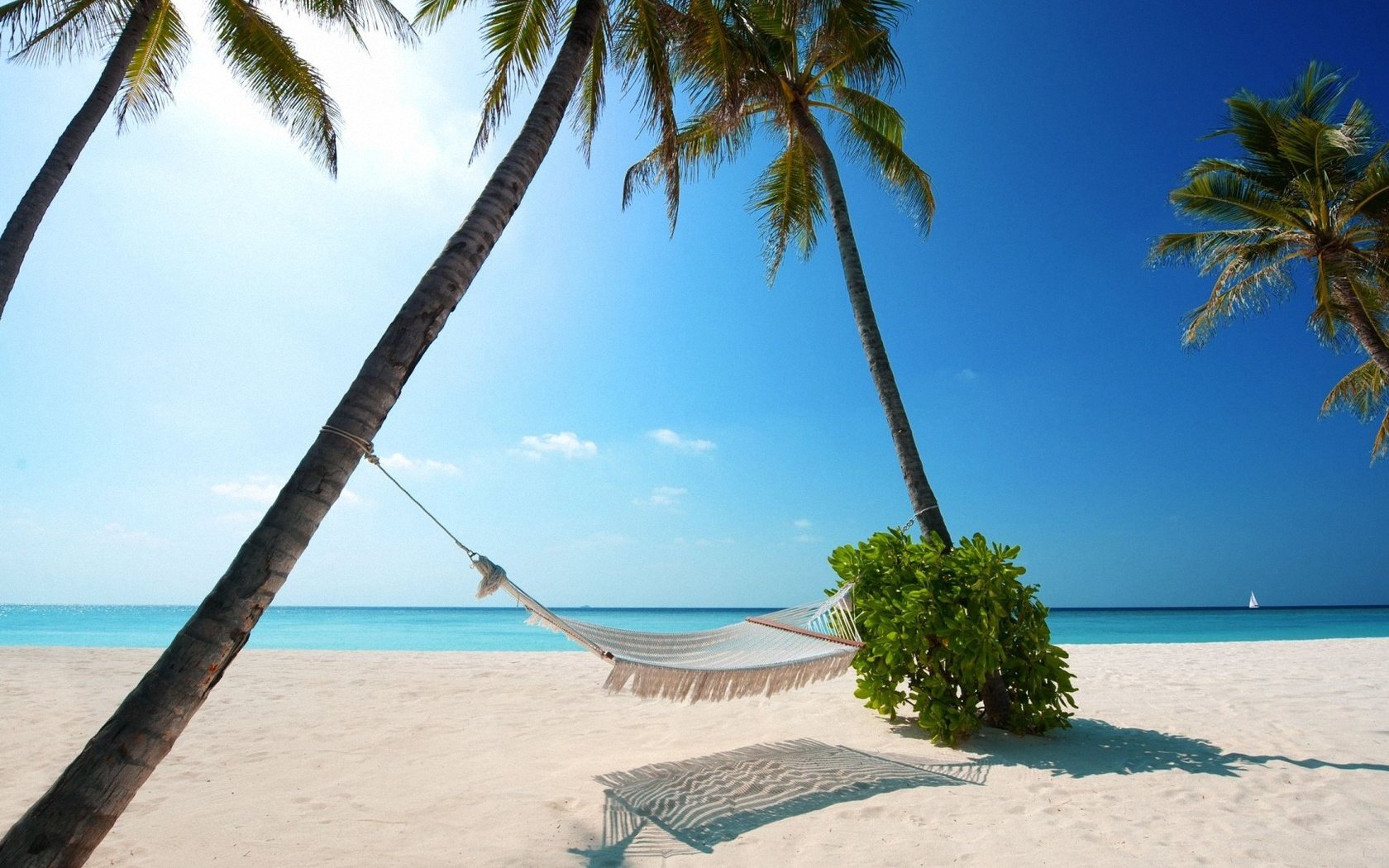 Обои пляж, пальмы, океан, гамак, тропики, beach, palm trees, the ocean, hammock, tropics разрешение 1920x1080 Загрузить