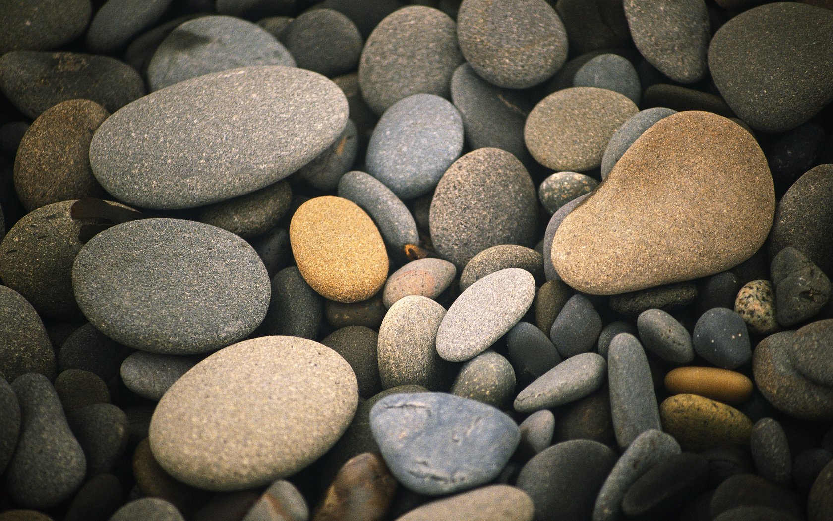 Обои природа, камни, галька, макро, камешки, nature, stones, pebbles, macro разрешение 2560x1600 Загрузить