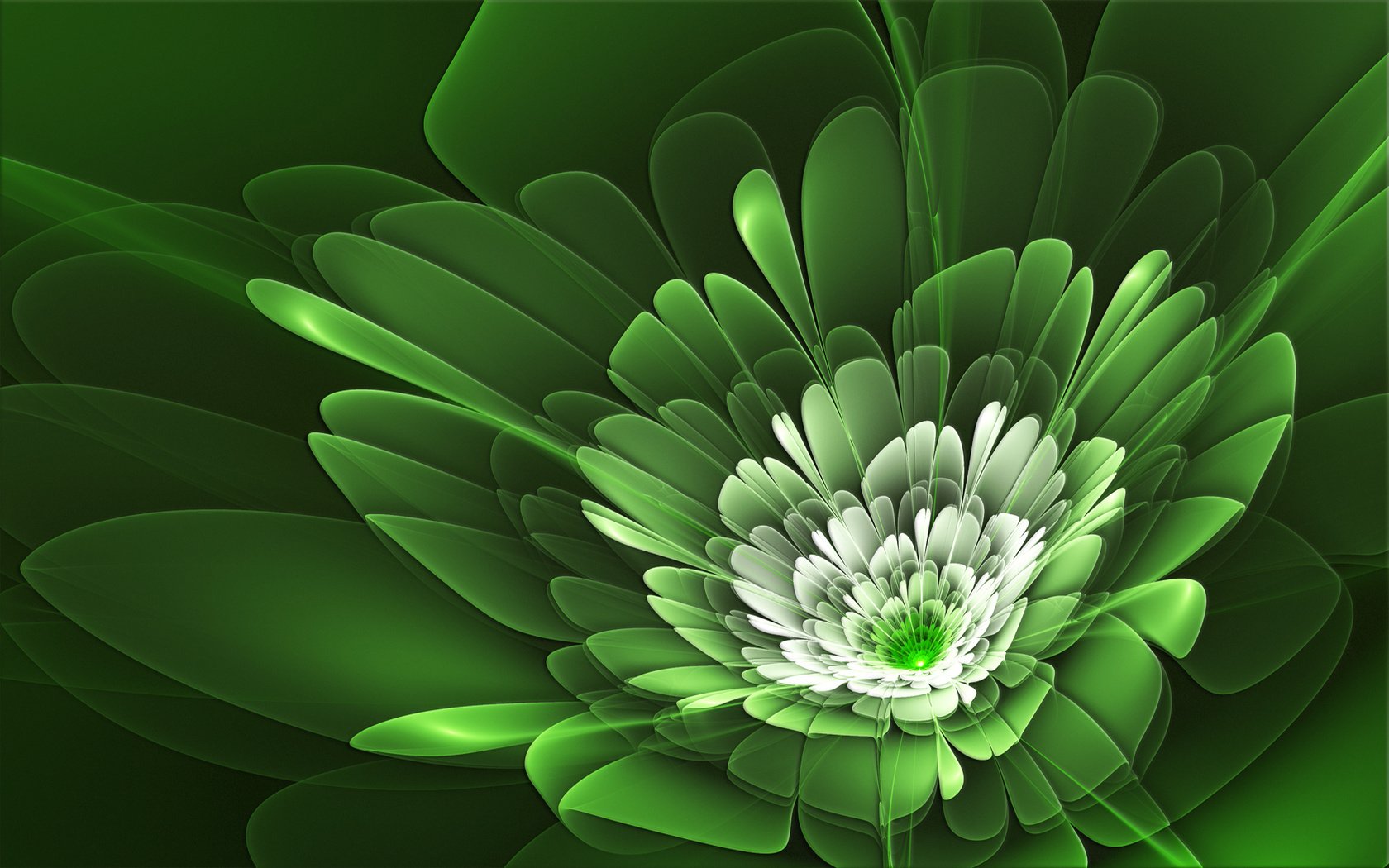 Обои линии, зелёный, цветок, лепестки, line, green, flower, petals разрешение 1920x1200 Загрузить