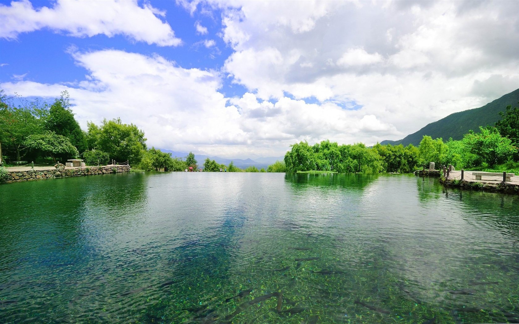 Обои небо, деревья, вода, пейзаж, the sky, trees, water, landscape разрешение 1920x1200 Загрузить