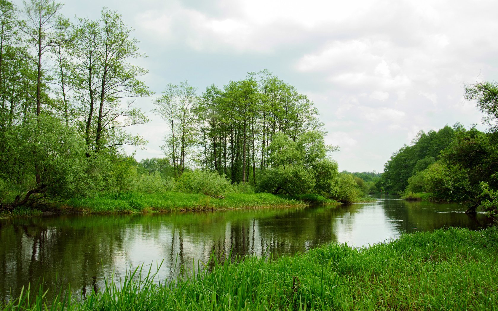 Обои трава, деревья, пейзаж, лето, реки, grass, trees, landscape, summer, river разрешение 1920x1200 Загрузить