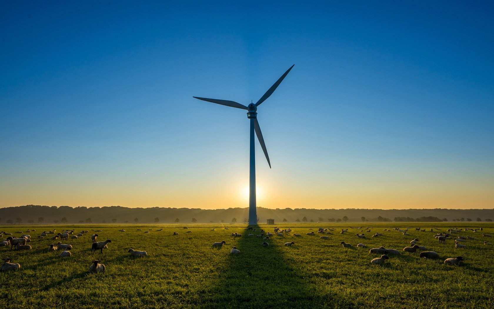 Обои небо, утро, поле, ветряк, овцы, ветряная турбина, the sky, morning, field, windmill, sheep, wind turbine разрешение 1920x1080 Загрузить