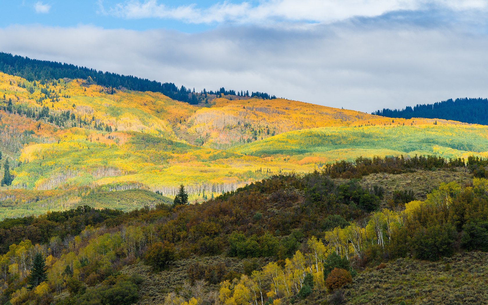 Обои деревья, горы, холмы, пейзаж, осень, trees, mountains, hills, landscape, autumn разрешение 1920x1280 Загрузить