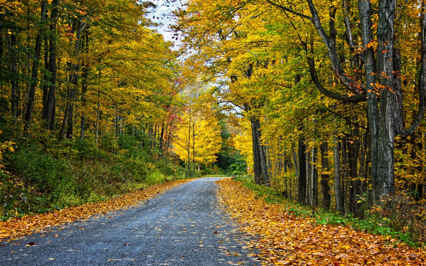 Обои дорога, деревья, лес, пейзаж, осень, road, trees, forest, landscape, autumn разрешение 3456x1853 Загрузить