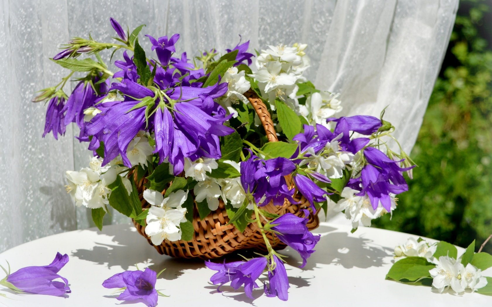 Обои букет, корзина, колокольчики, жасмин, bouquet, basket, bells, jasmine разрешение 2400x1565 Загрузить