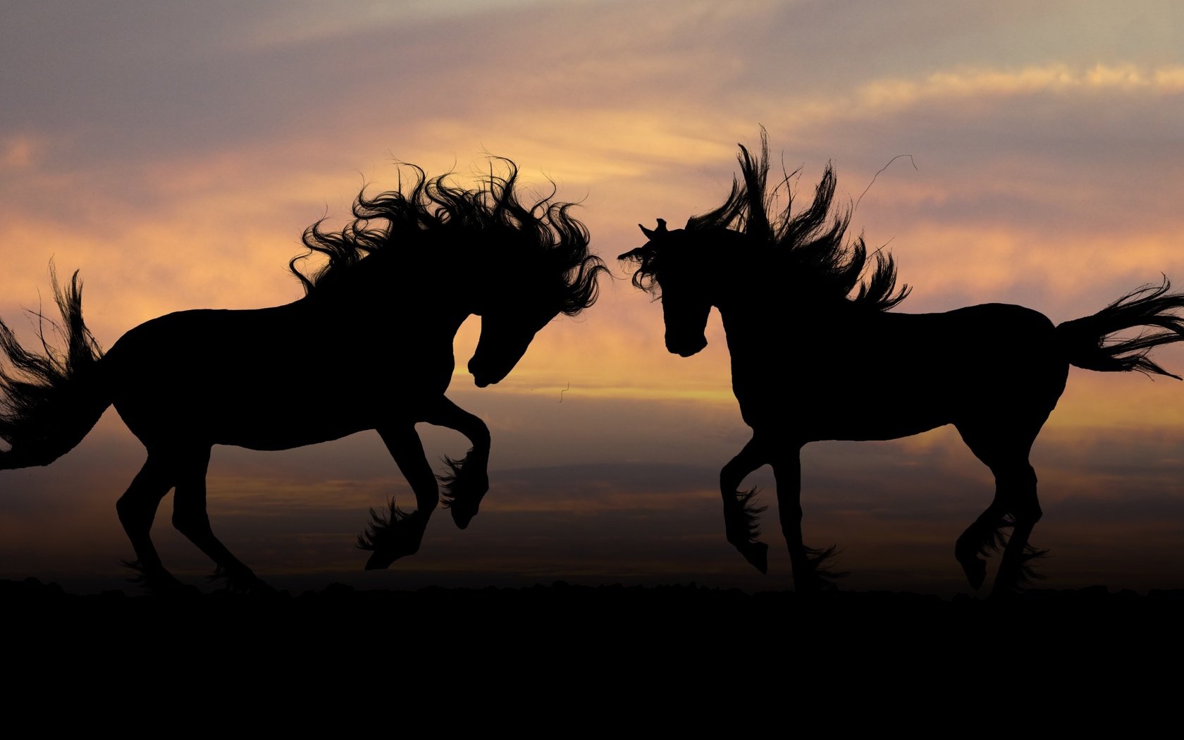 Обои природа, закат, силуэт, лошади, кони, грива, копыта, nature, sunset, silhouette, horse, horses, mane, hooves разрешение 3840x2160 Загрузить