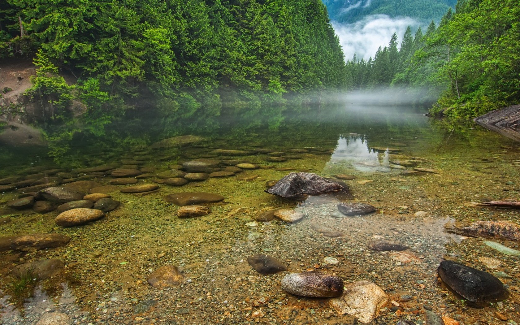 Обои деревья, вода, река, природа, камни, пейзаж, trees, water, river, nature, stones, landscape разрешение 1920x1080 Загрузить