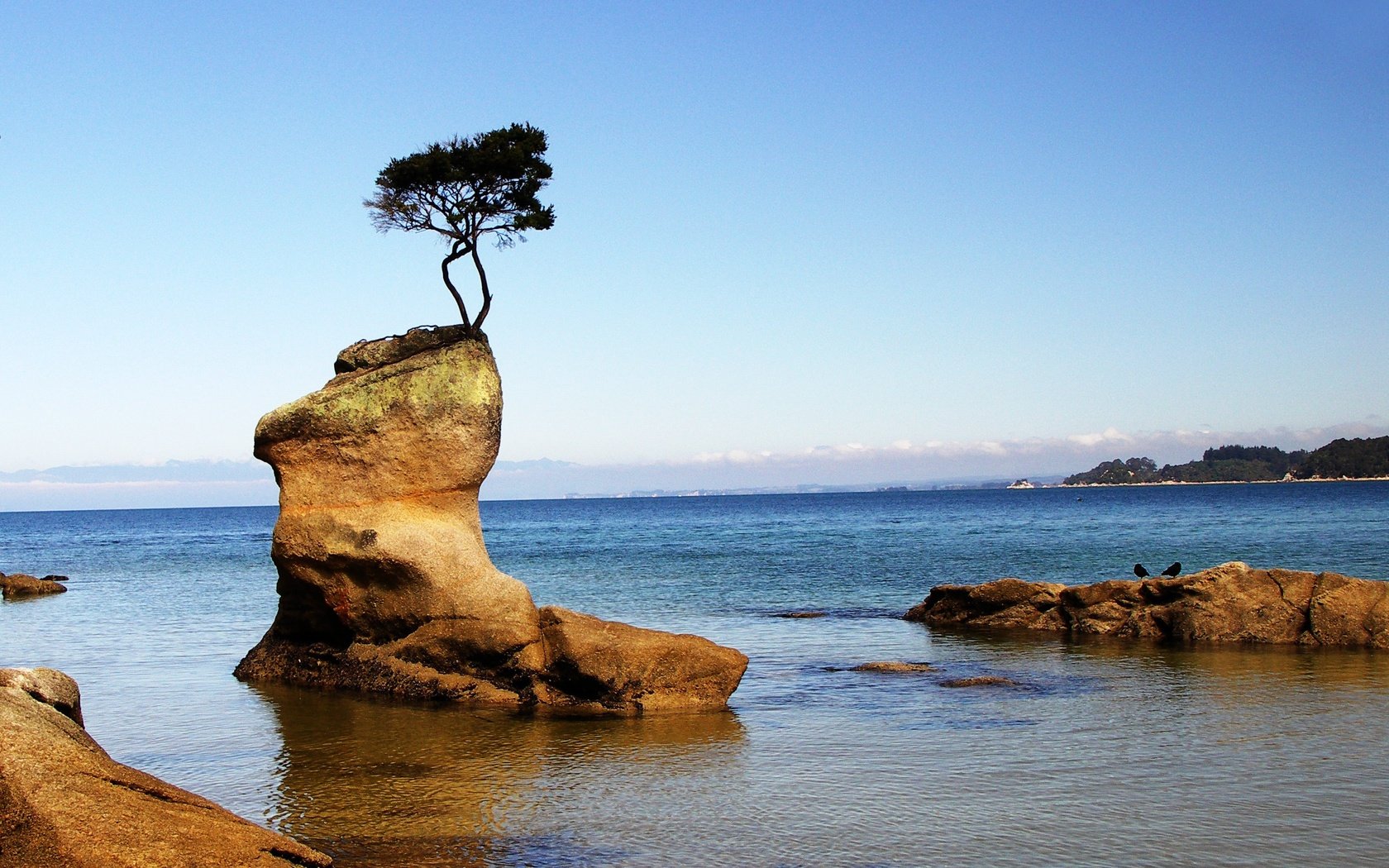 Обои небо, скалы, дерево, море, горизонт, побережье, the sky, rocks, tree, sea, horizon, coast разрешение 2668x1900 Загрузить