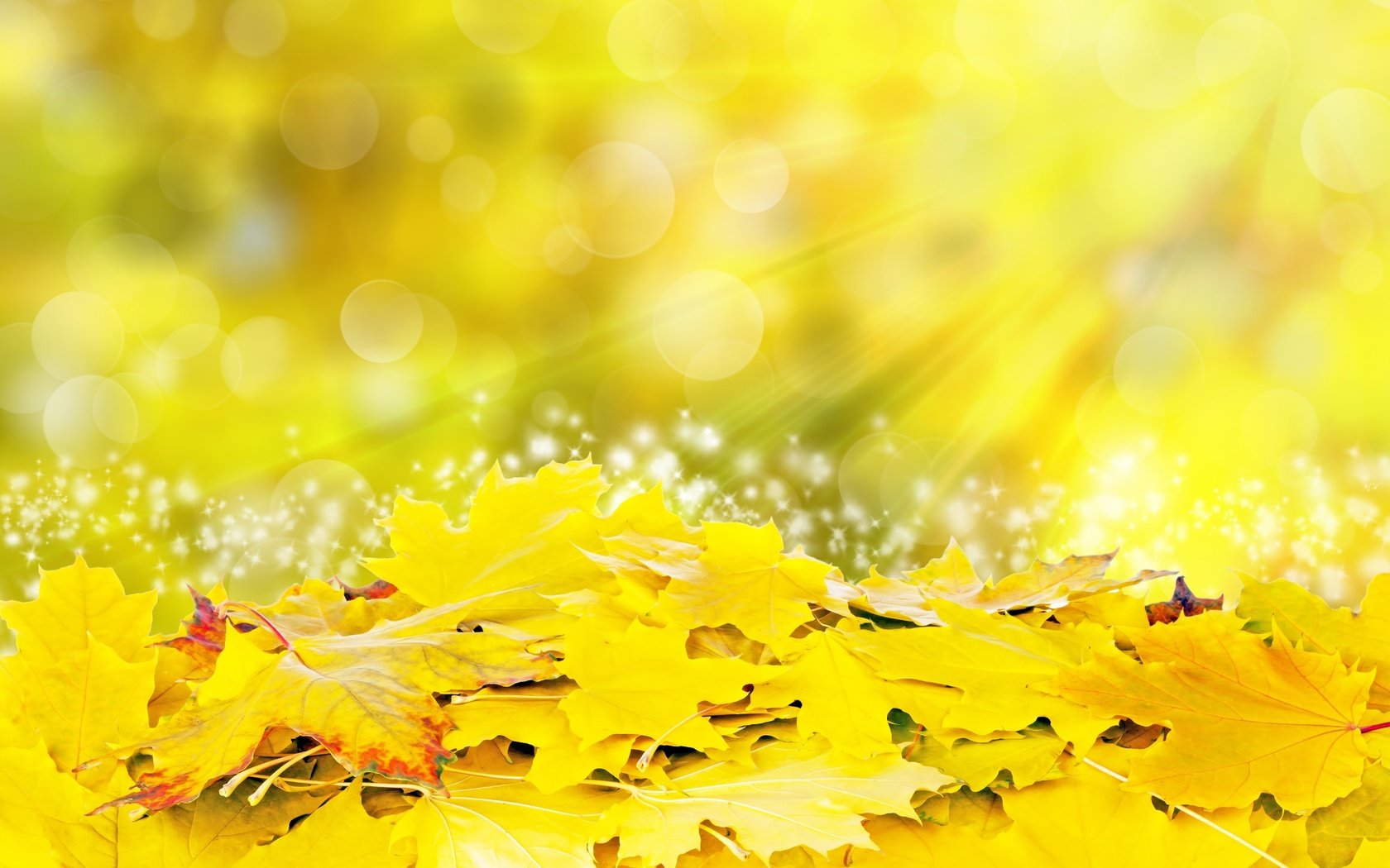 Обои листья, осень, блики, желтые, leaves, autumn, glare, yellow разрешение 4516x3014 Загрузить