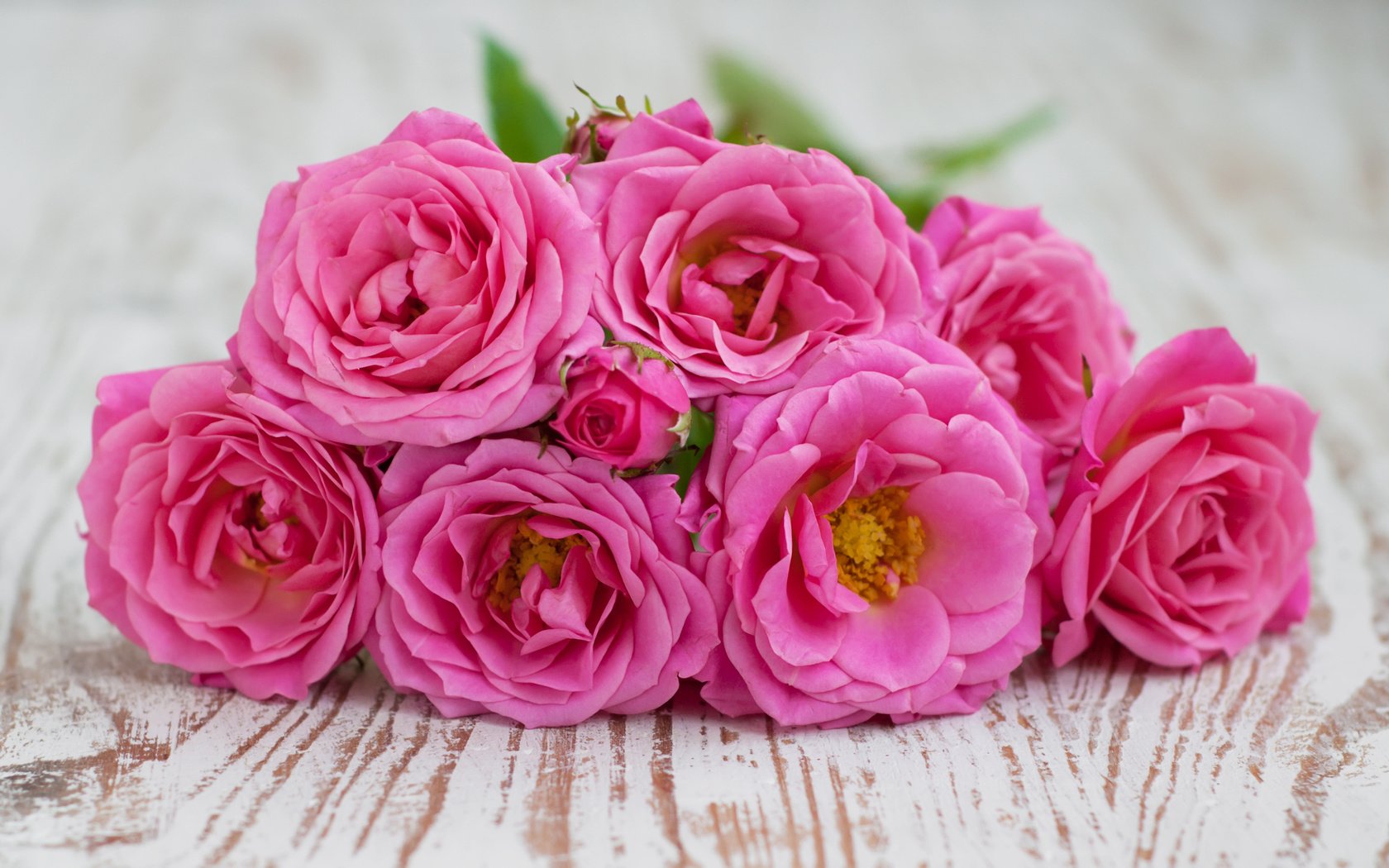 Обои цветы, розы, лепестки, букет, flowers, roses, petals, bouquet разрешение 2880x1800 Загрузить