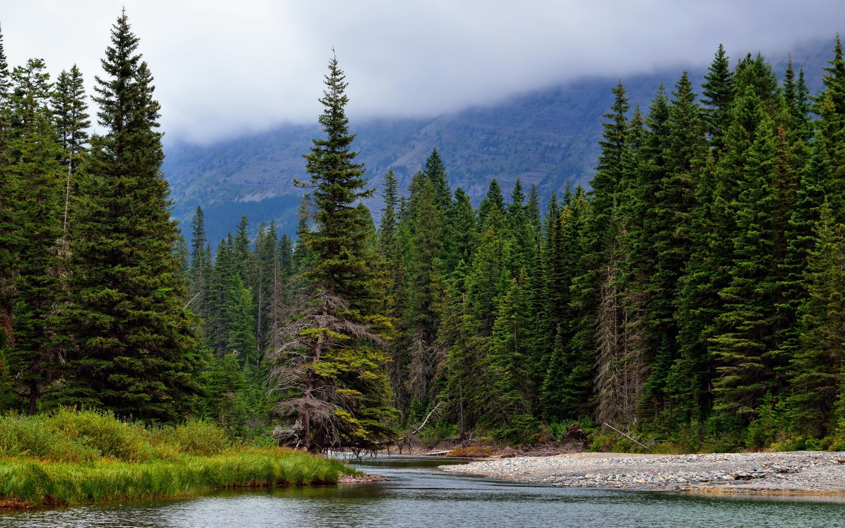 Обои деревья, река, горы, природа, лес, ели, хвойный лес, trees, river, mountains, nature, forest, ate, coniferous forest разрешение 7680x4320 Загрузить