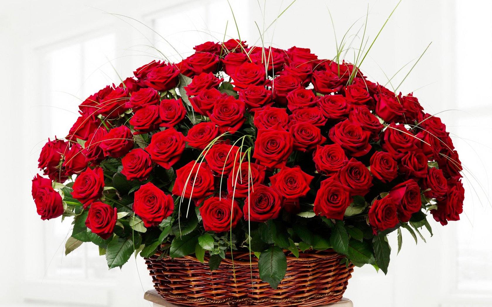 Обои цветы, розы, красные, букет, корзинка, flowers, roses, red, bouquet, basket разрешение 2000x1450 Загрузить