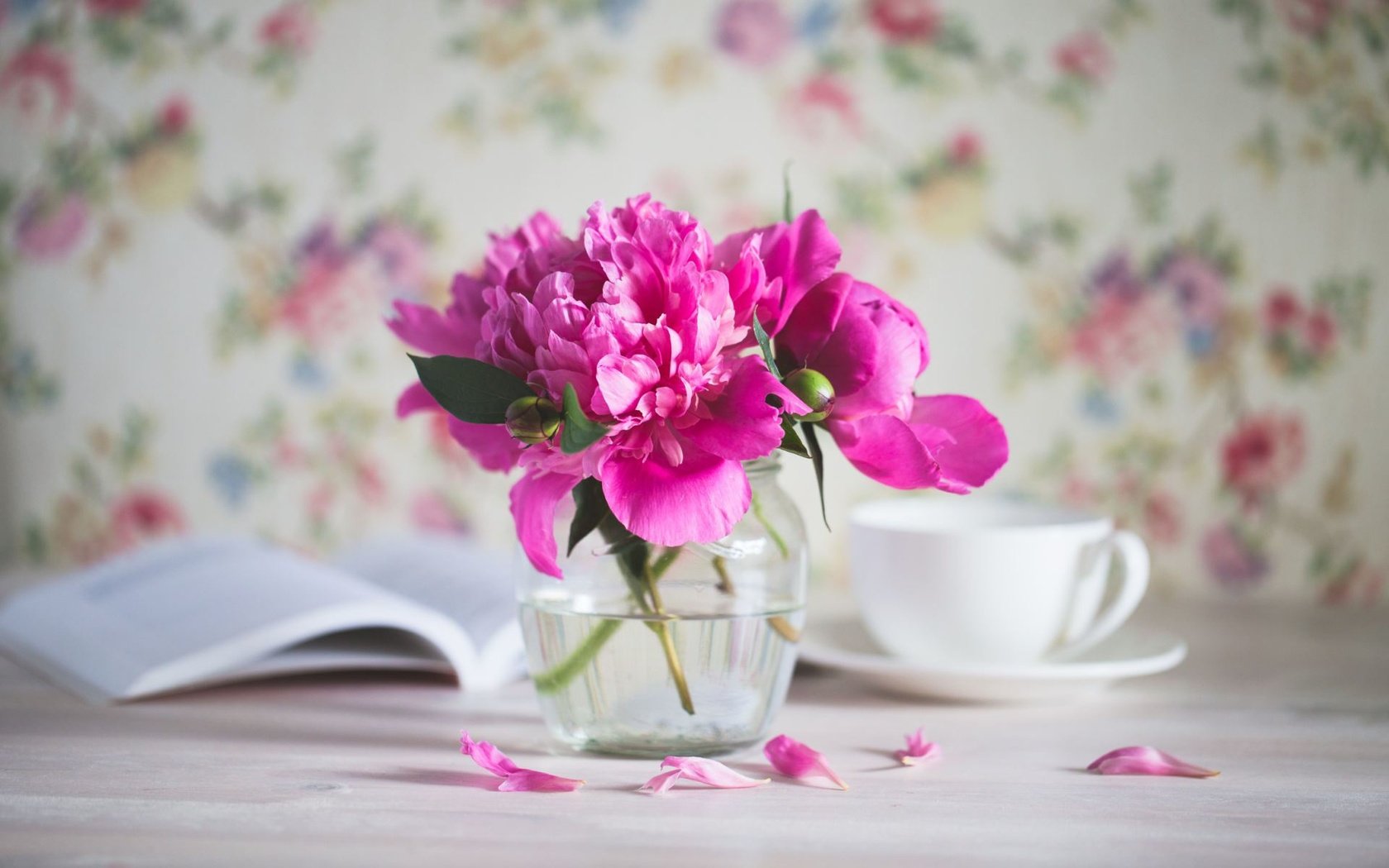 Обои цветы, лепестки, розовые, букетик, пионы, flowers, petals, pink, a bunch, peonies разрешение 1920x1200 Загрузить