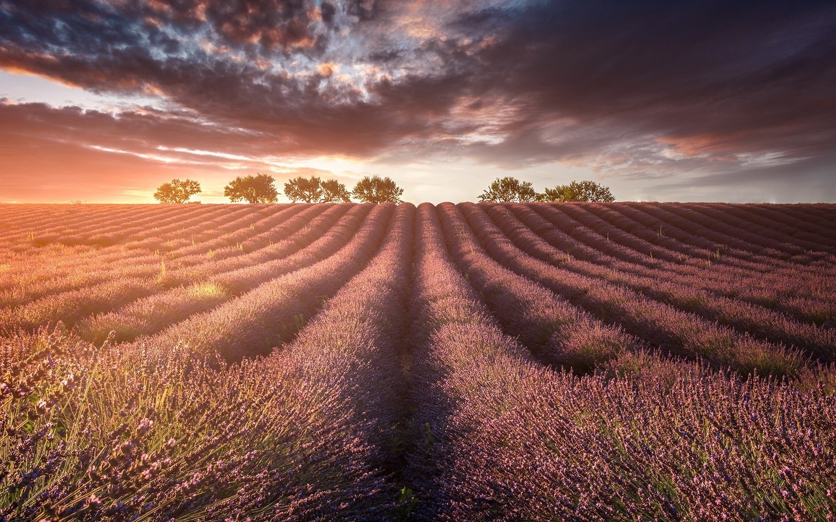 Обои свет, природа, поле, лаванды, light, nature, field, lavender разрешение 1920x1200 Загрузить