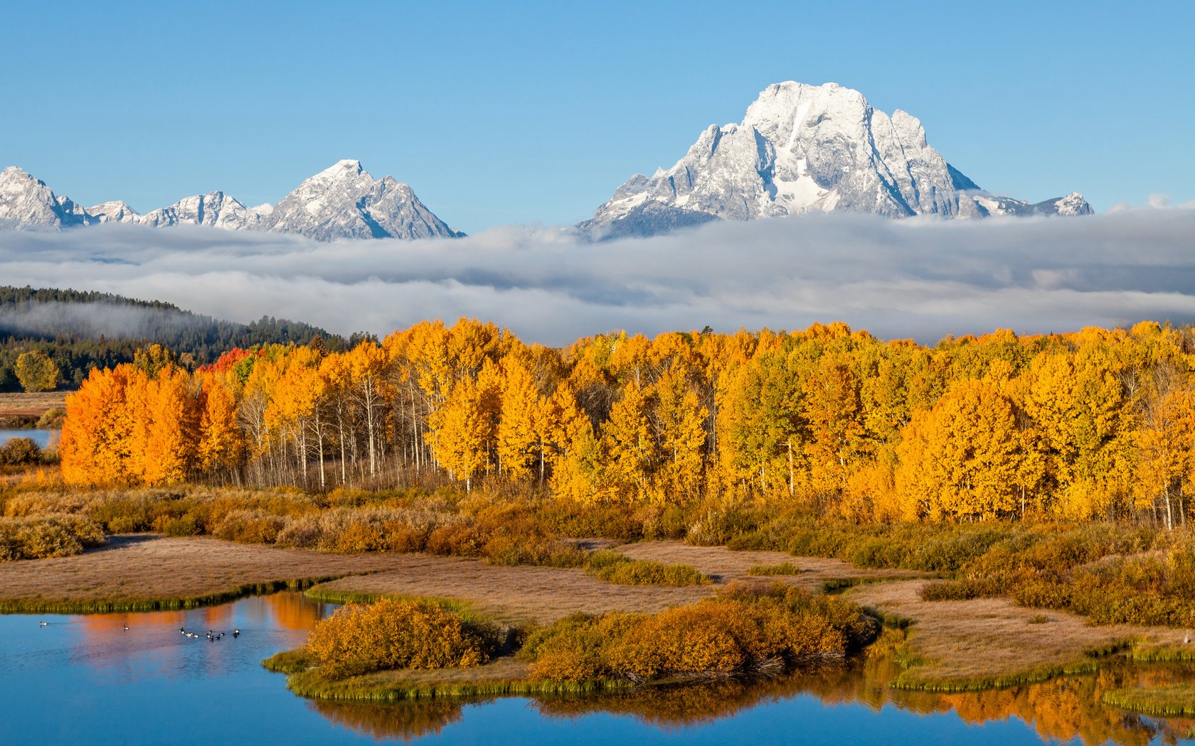 Обои небо, осень, деревья, река, горы, природа, лес, пейзаж, туман, the sky, autumn, trees, river, mountains, nature, forest, landscape, fog разрешение 3840x2400 Загрузить