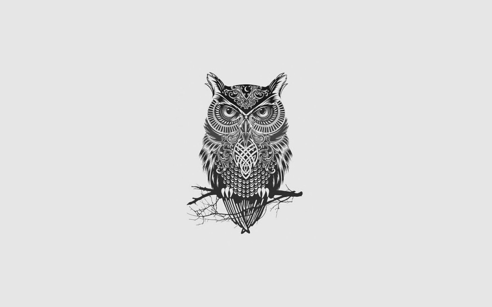 Обои арт, сова, минимализм, птица, art, owl, minimalism, bird разрешение 1920x1080 Загрузить