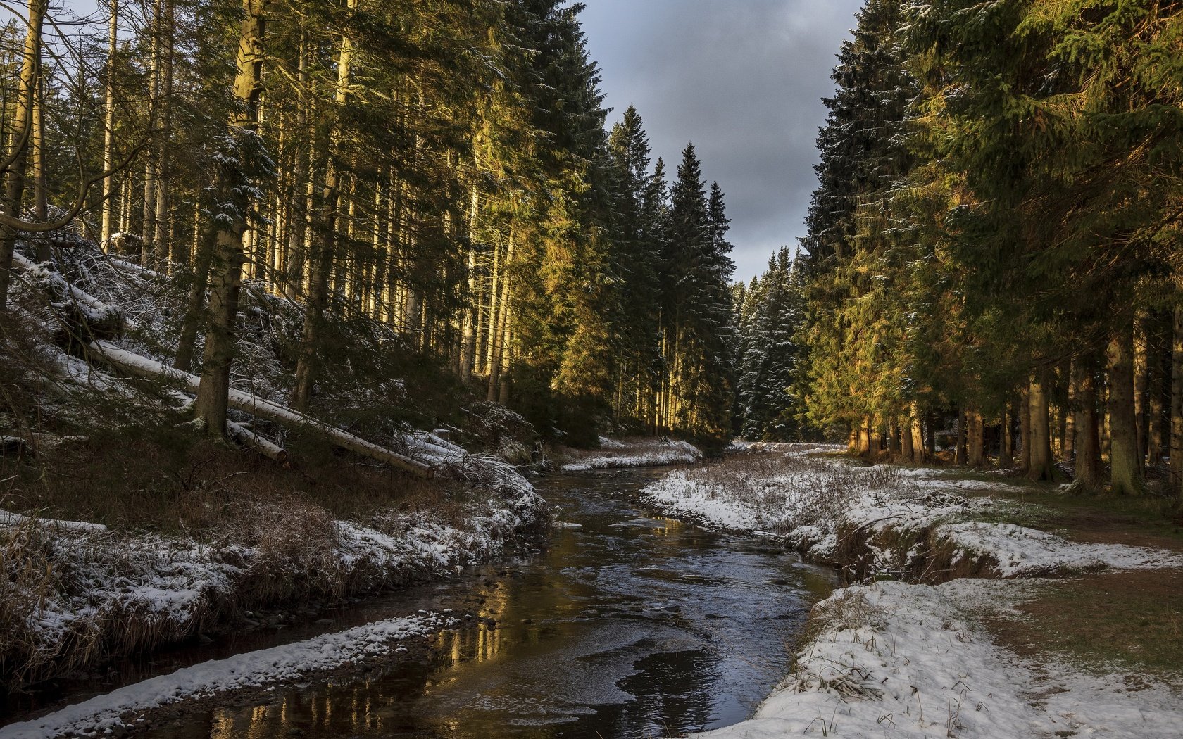 Обои деревья, река, снег, природа, лес, солнечный свет, trees, river, snow, nature, forest, sunlight разрешение 4500x3004 Загрузить