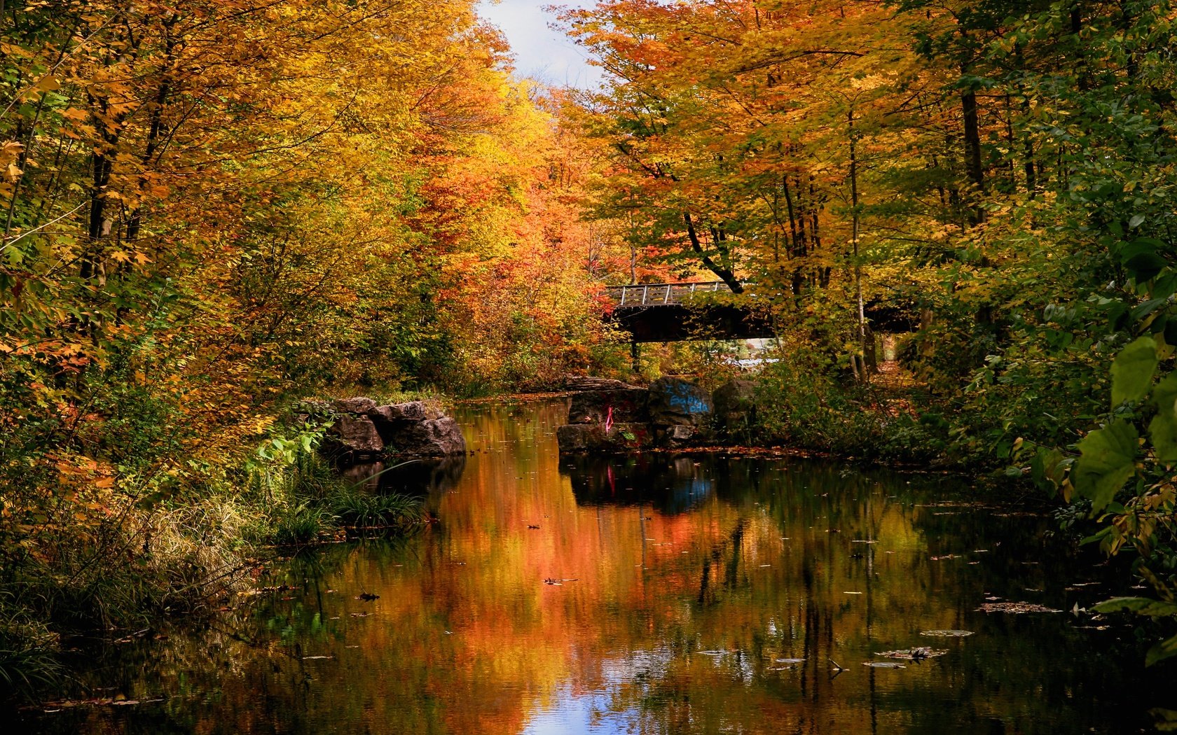 Обои лес, парк, мост, осень, пруд, forest, park, bridge, autumn, pond разрешение 3072x2048 Загрузить