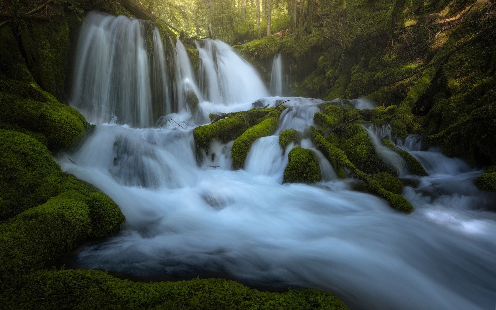 Обои река, водопады, камни, каскад, зелень, лес, водопад, поток, мох, корни, river, waterfalls, stones, cascade, greens, forest, waterfall, stream, moss, roots разрешение 2048x1365 Загрузить