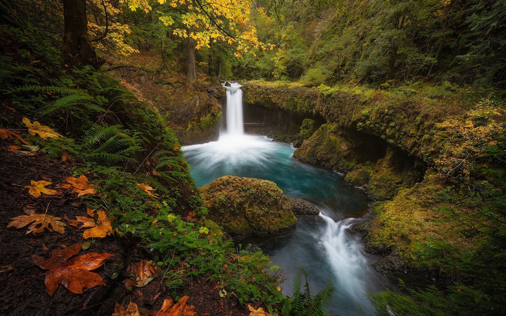 Обои лес, водопад, осень, forest, waterfall, autumn разрешение 2000x1443 Загрузить