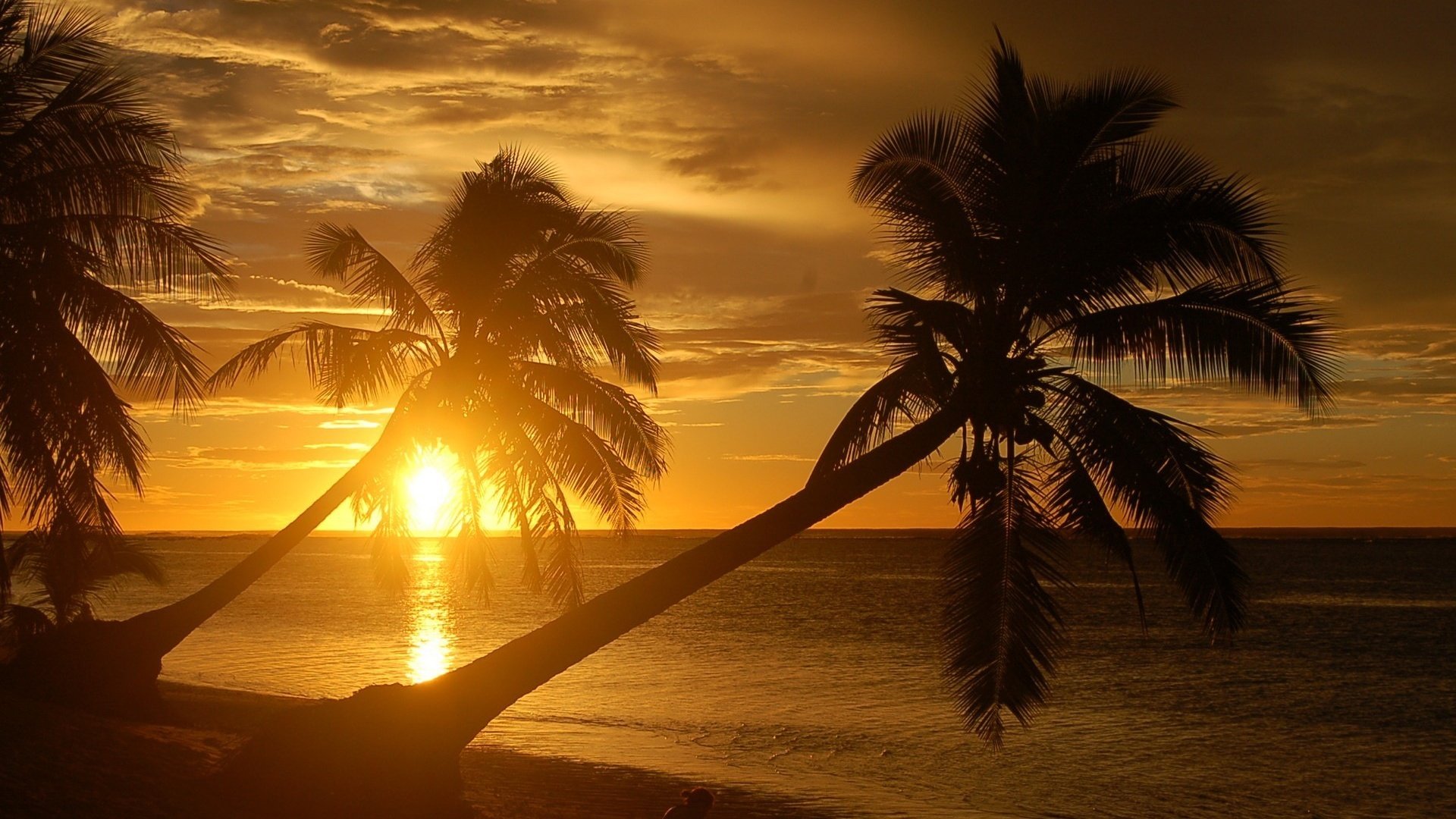 Обои небо, горизонт, вечер, пальмы, солнце, природа, берег, закат, море, пляж, the sky, horizon, the evening, palm trees, the sun, nature, shore, sunset, sea, beach разрешение 1920x1440 Загрузить