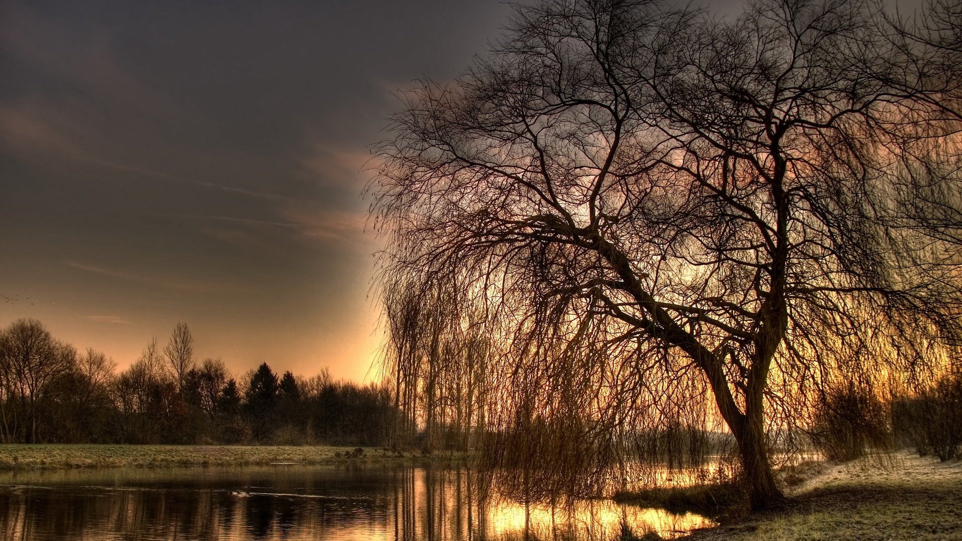 Обои вечер, озеро, река, дерево, осень, hdr, ива, the evening, lake, river, tree, autumn, iva разрешение 2560x1600 Загрузить