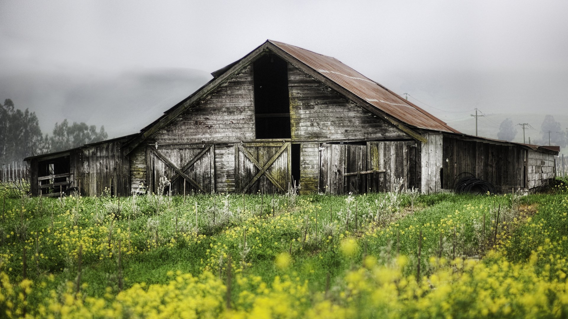 Обои природа, растения, пейзаж, сад, дом, заброшенная, постройка, nature, plants, landscape, garden, house, abandoned, building разрешение 5024x3168 Загрузить