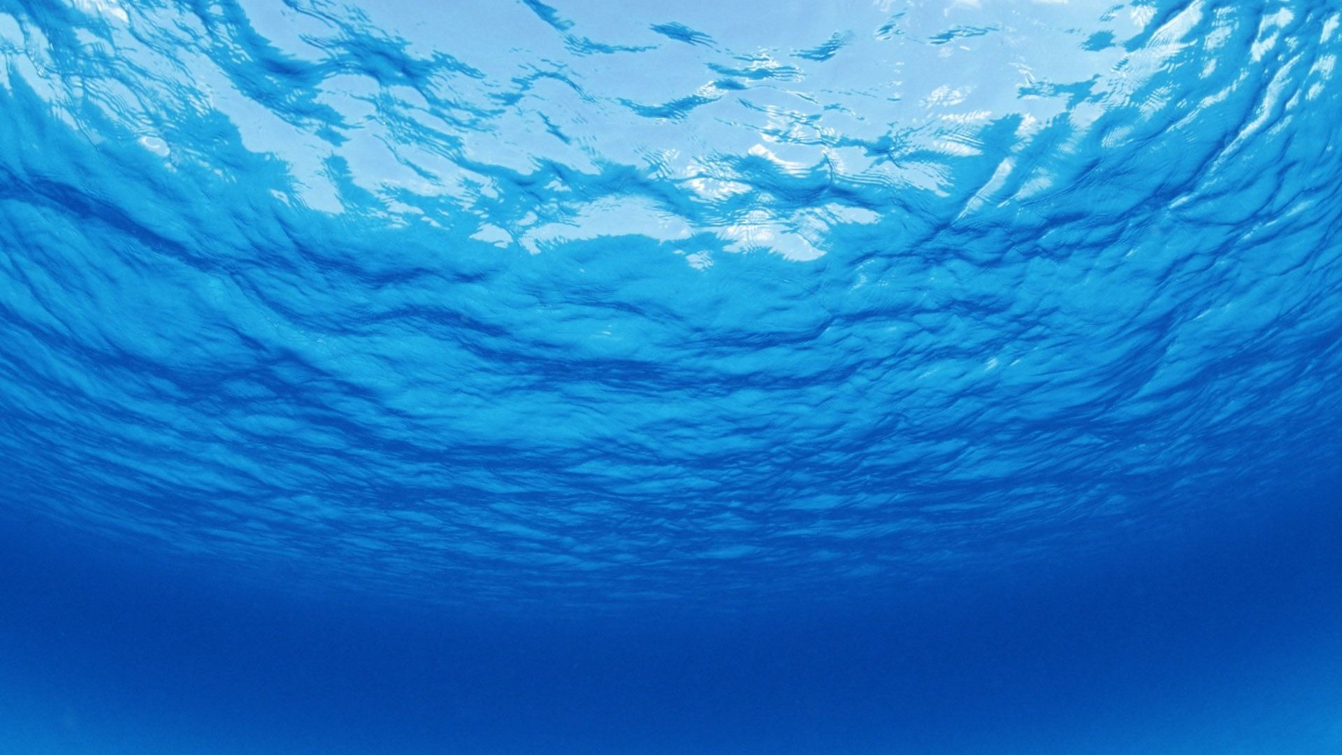 Обои вода, океан, прозрачная, water, the ocean, transparent разрешение 1920x1200 Загрузить