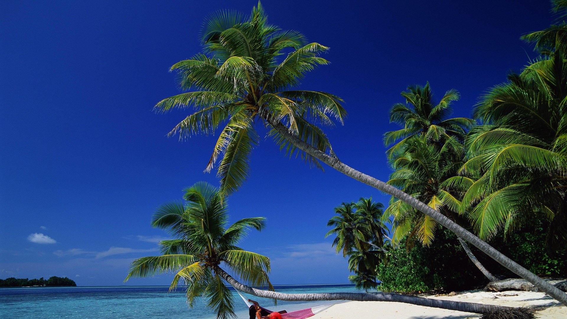 Обои море, залив, пальмы, релакс, гамак, баунти, sea, bay, palm trees, relax, hammock, bounty разрешение 4096x3007 Загрузить