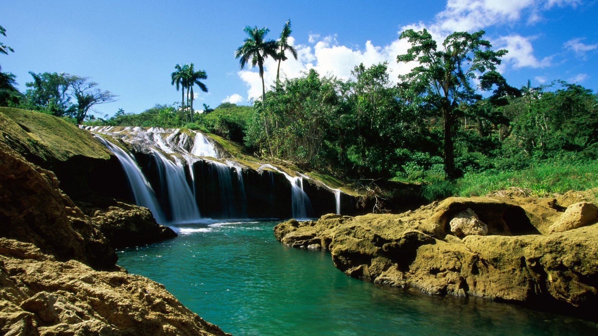 Обои река, водопад, пальмы, river, waterfall, palm trees разрешение 1999x1333 Загрузить