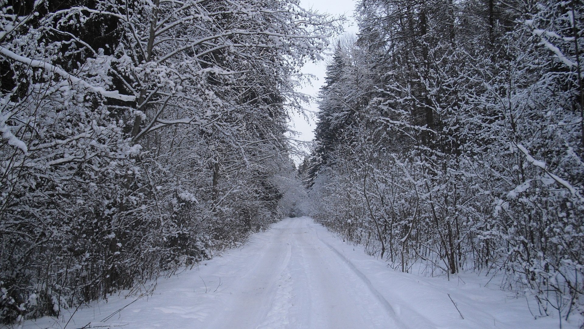 Обои дорога, лес, зима, road, forest, winter разрешение 3456x2592 Загрузить