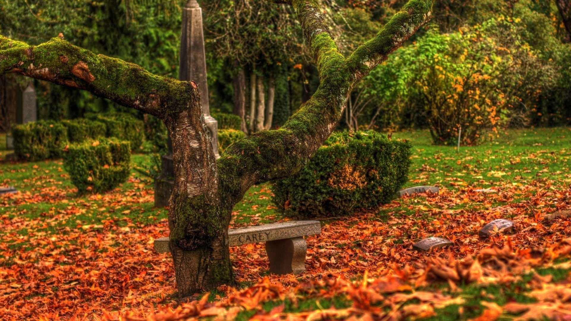 Обои дерево, листья, осень, кладбище, памятники, tree, leaves, autumn, cemetery, monuments разрешение 2048x1536 Загрузить