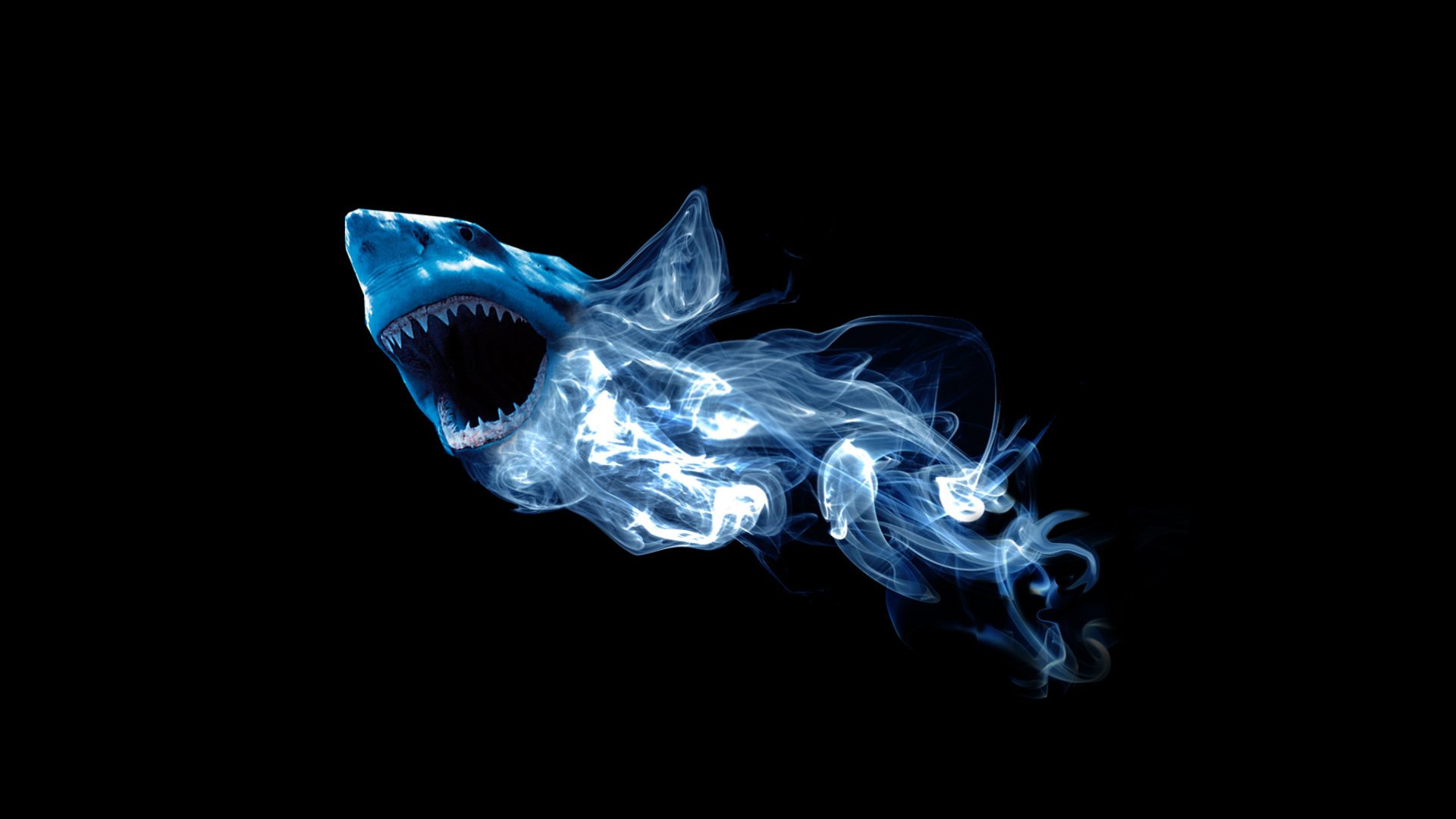 Обои абстракция, дым, акула, abstraction, smoke, shark разрешение 1920x1200 Загрузить