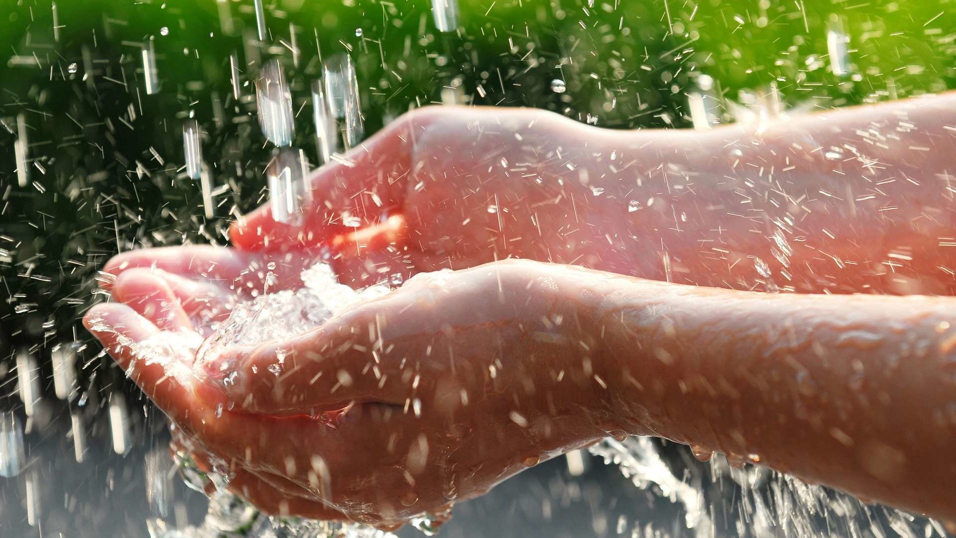 Обои вода, капли, дождь, руки, ладони, water, drops, rain, hands, palm разрешение 1920x1200 Загрузить