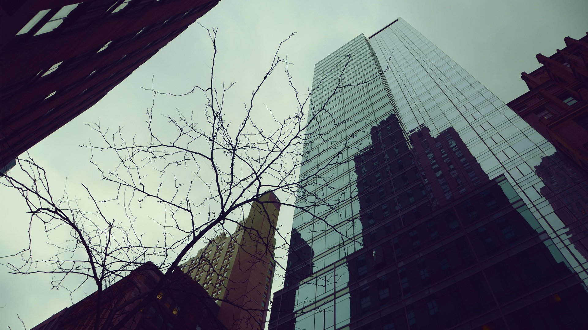 Обои небо, отражение, город, осень, небоскребы, здания, the sky, reflection, the city, autumn, skyscrapers, building разрешение 1920x1200 Загрузить