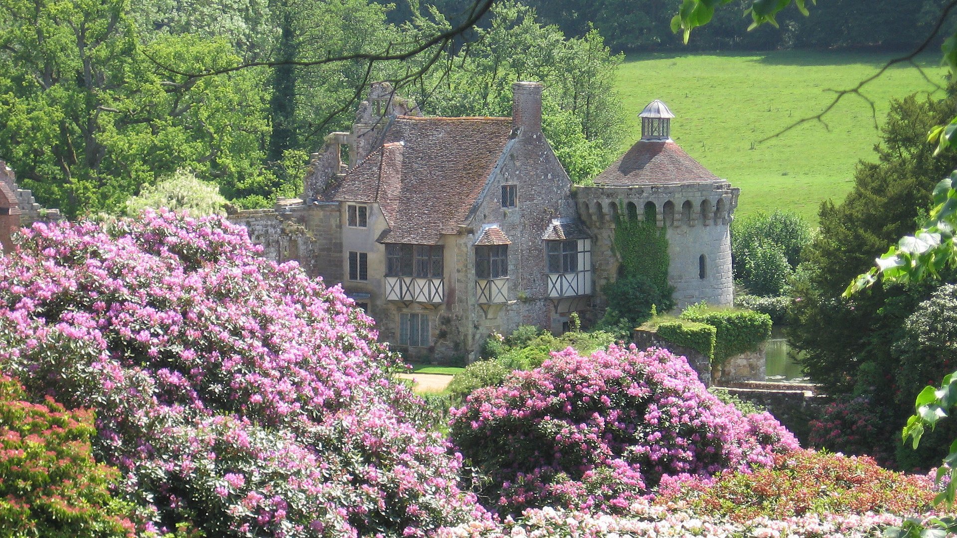 Обои цветы, зелень, лето, замок, flowers, greens, summer, castle разрешение 2272x1704 Загрузить