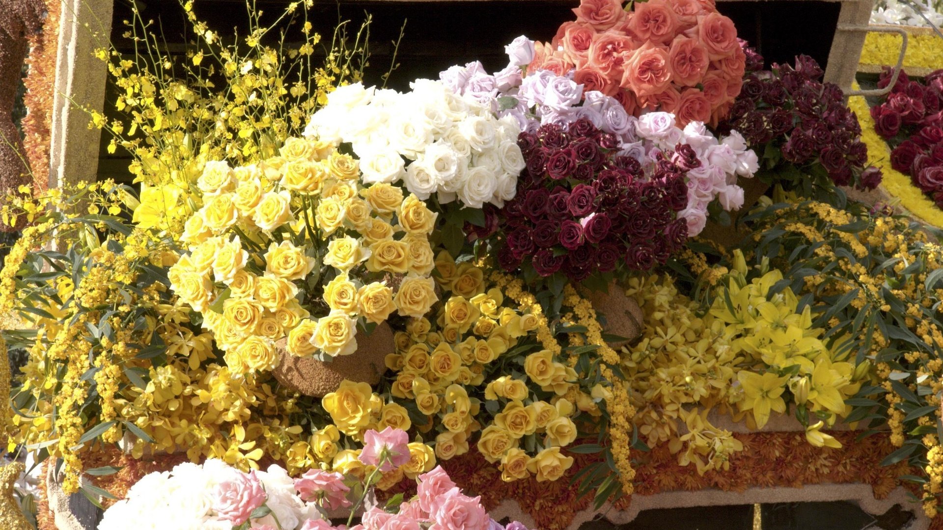 Обои цветы, розы, cvety, rozy, prilavok, прилавок, букеты, flowers, roses, the counter, bouquets разрешение 2400x1598 Загрузить
