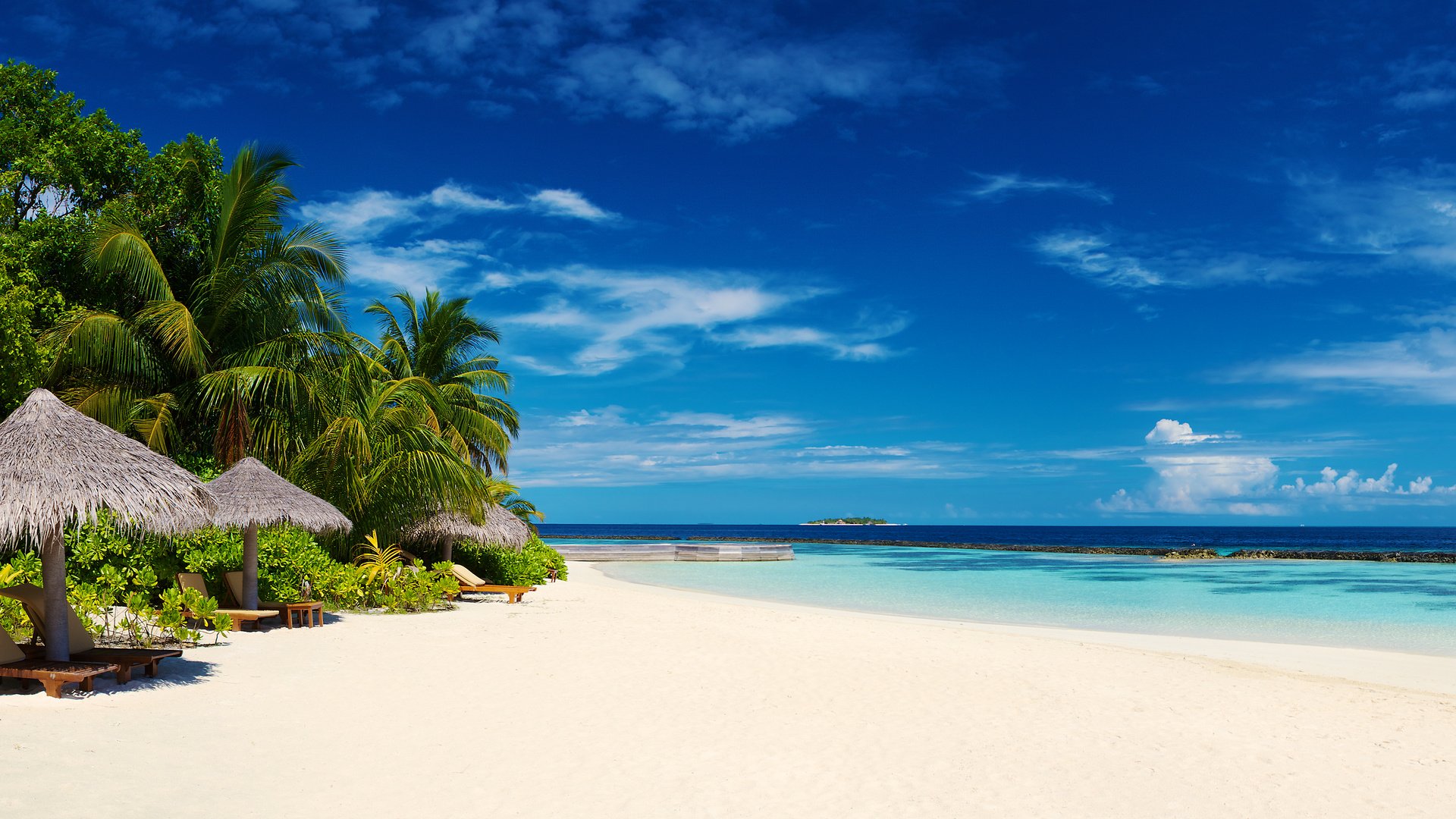 Обои пляж, пальмы, тропики, мальдивы, beach, palm trees, tropics, the maldives разрешение 3840x2400 Загрузить