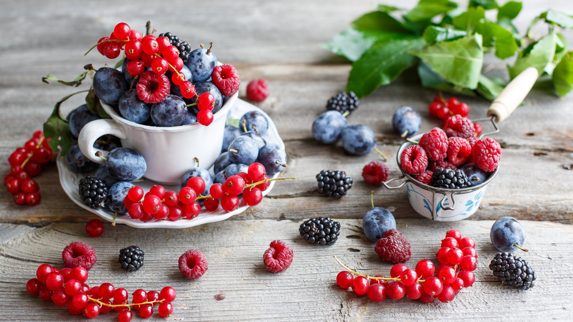 Обои малина, ягоды, красная смородина, ежевика, сливы, anna verdina, raspberry, berries, red currant, blackberry, plum разрешение 2000x1240 Загрузить