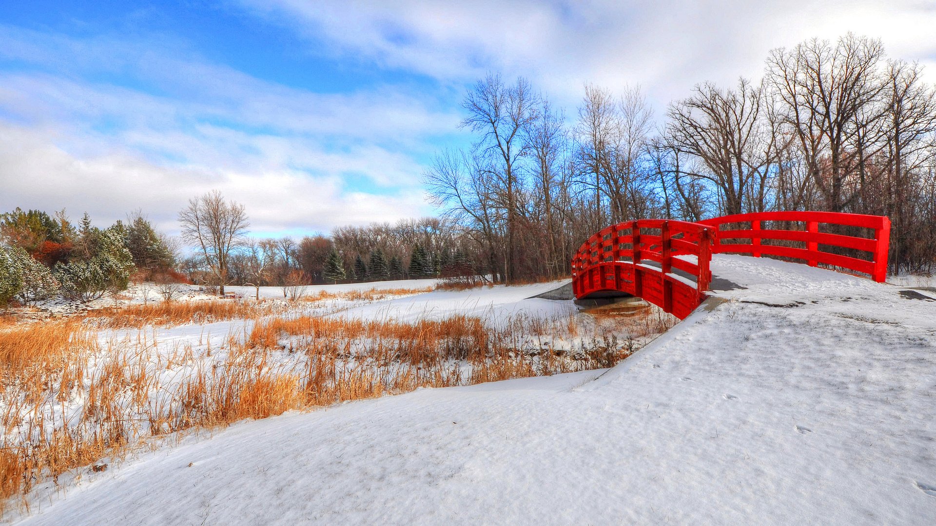 Обои небо, деревья, снег, зима, парк, мост, the sky, trees, snow, winter, park, bridge разрешение 2048x1360 Загрузить