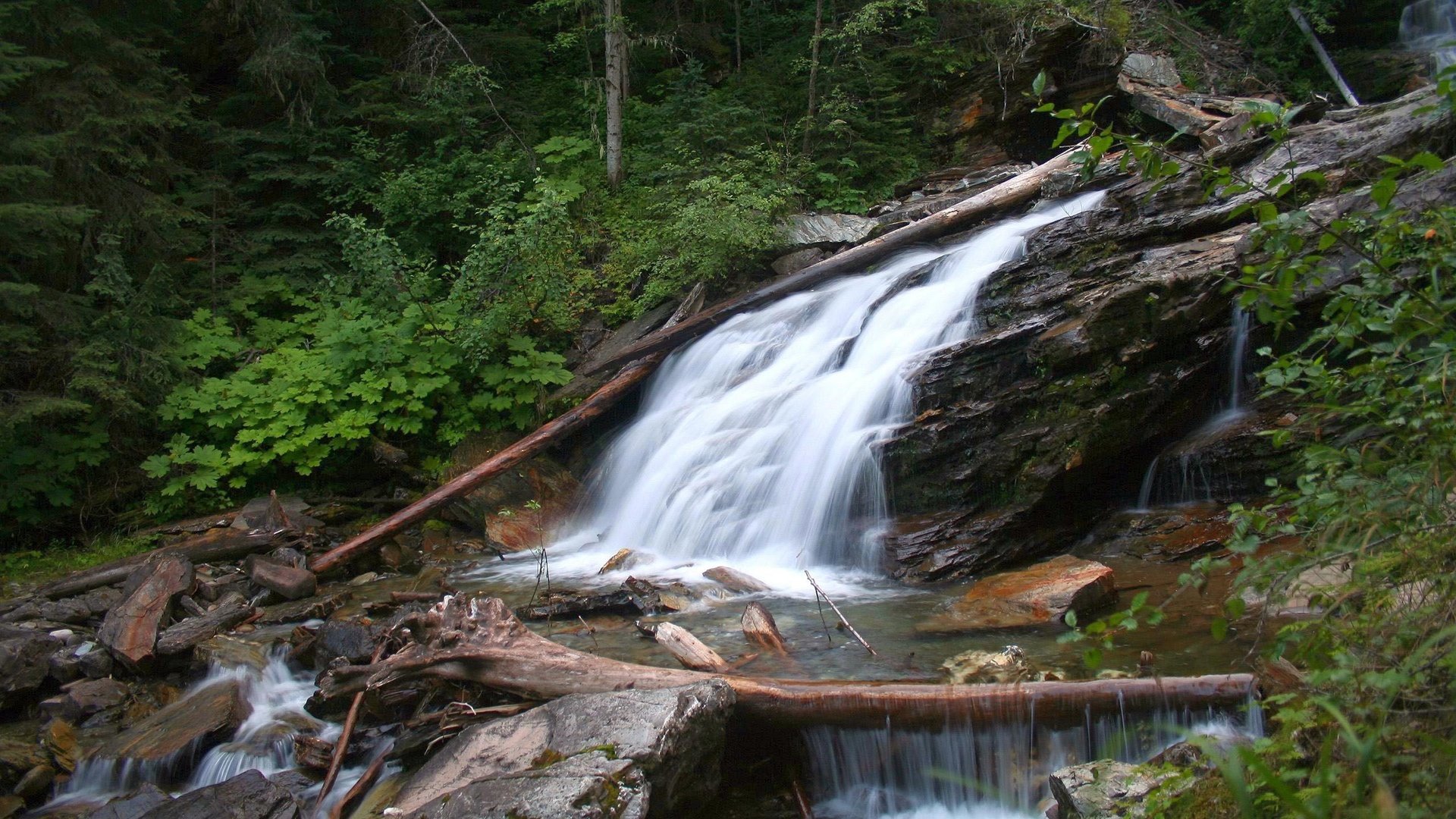 Обои деревья, природа, камни, лес, кусты, водопад, обломки, речка, trees, nature, stones, forest, the bushes, waterfall, the wreckage, river разрешение 2560x1600 Загрузить