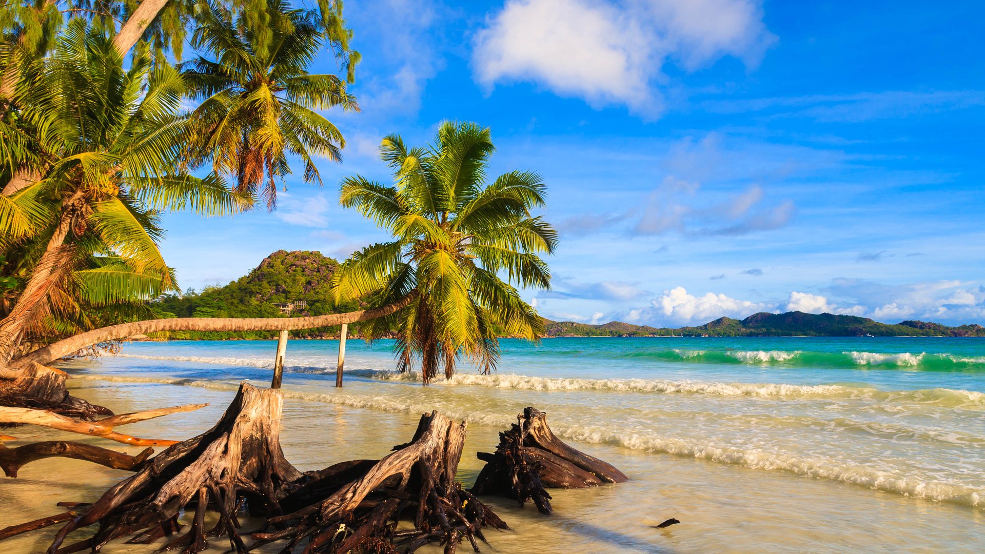 Обои берег, пейзаж, море, пальмы, сейшелы, сейшельские острова, shore, landscape, sea, palm trees, seychelles разрешение 4206x2722 Загрузить