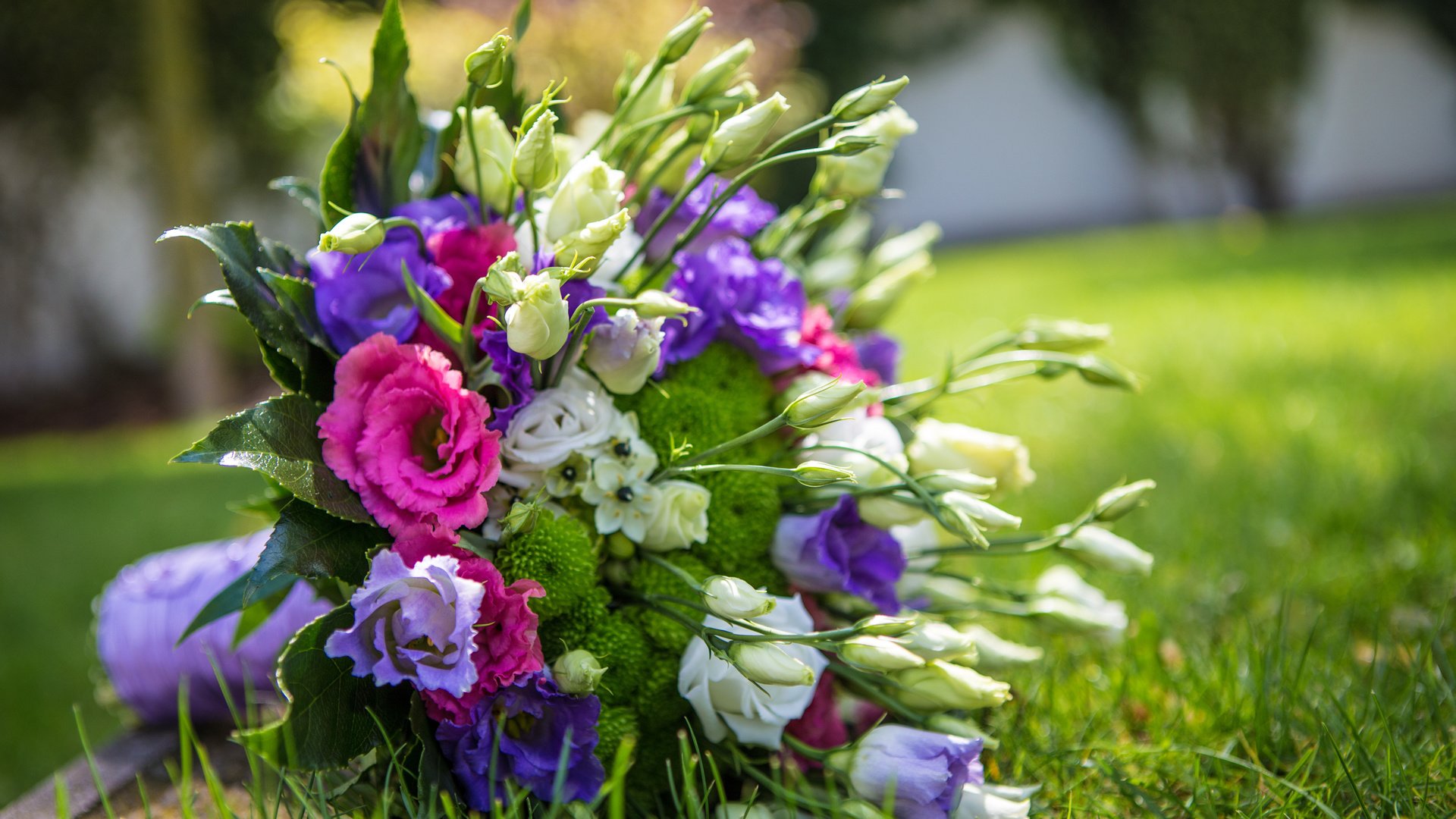 Обои цветы, букет,  цветы, эустома, flowers, bouquet, eustoma разрешение 5472x3648 Загрузить