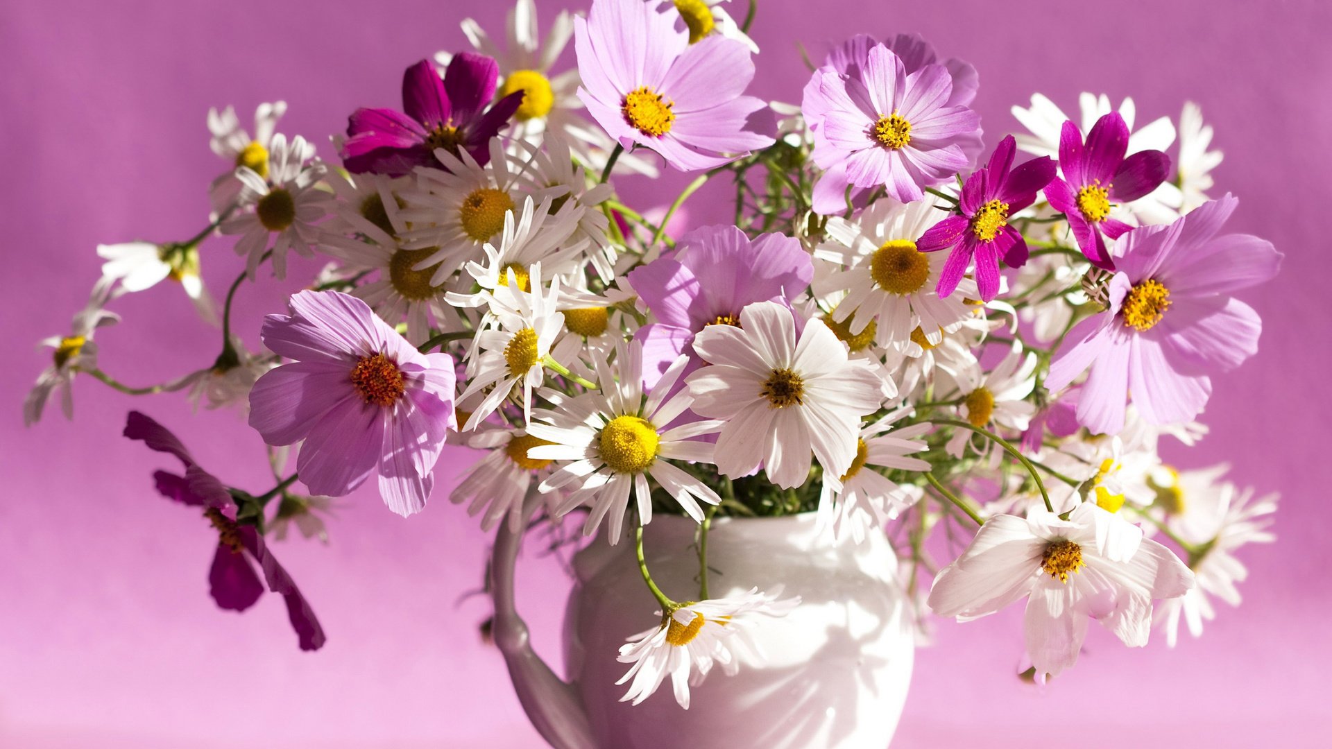 Обои цветы, фон, ромашки, букет, ваза, космея, flowers, background, chamomile, bouquet, vase, kosmeya разрешение 2560x1440 Загрузить