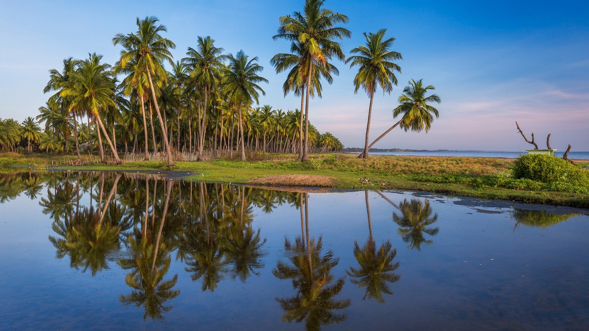 Обои небо, отражение, пейзаж, море, пальмы, пальма, the sky, reflection, landscape, sea, palm trees, palma разрешение 2048x1297 Загрузить