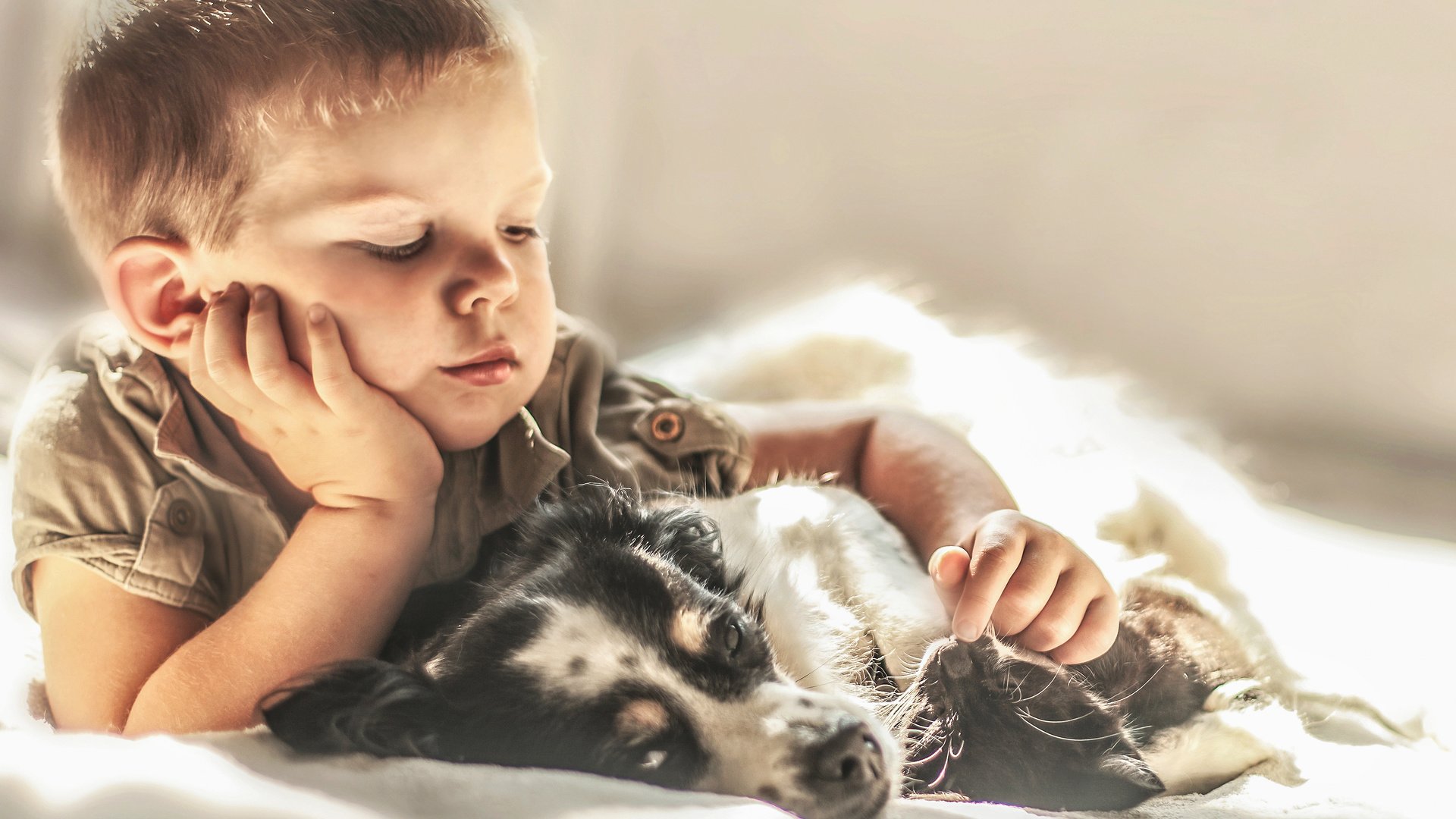 Обои собака, щенок, ребенок, мальчик, друзья, agnieszka gulczynska, dog, puppy, child, boy, friends разрешение 3354x2141 Загрузить