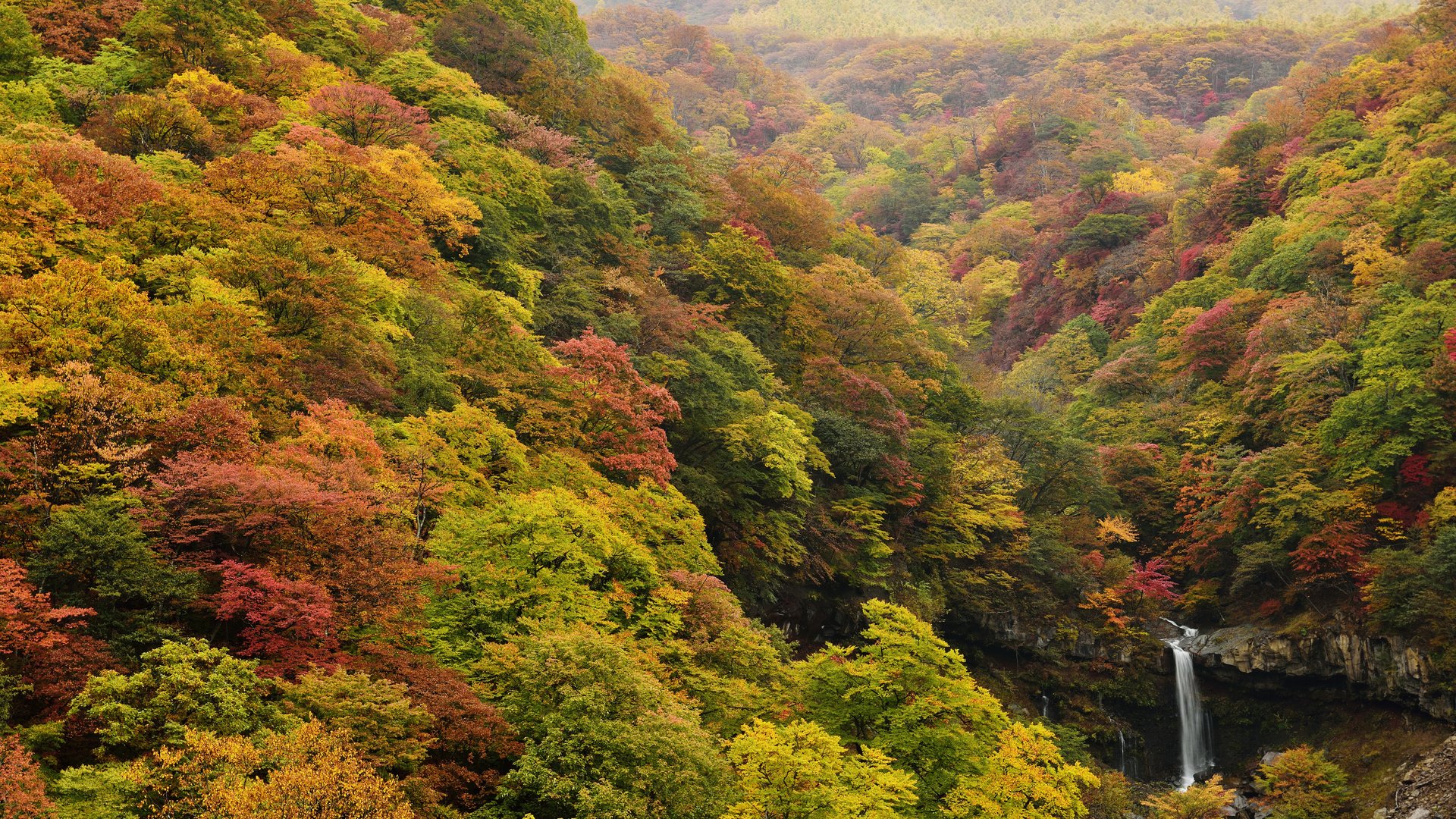 Обои природа, лес, водопад, осень, япония, ирохадзака, nature, forest, waterfall, autumn, japan, irohazaka разрешение 5616x3748 Загрузить