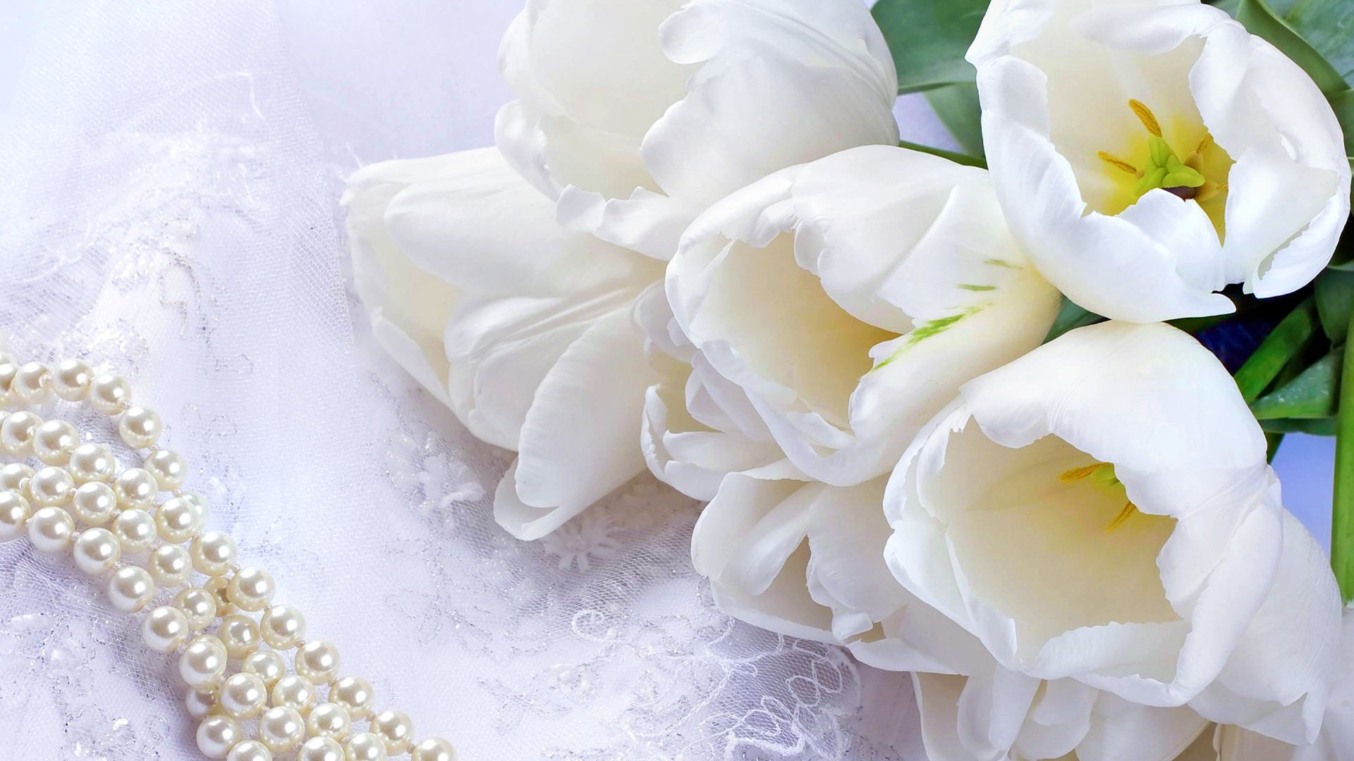 Обои цветы, букет, тюльпаны, белые, ожерелье, жемчуг, flowers, bouquet, tulips, white, necklace, pearl разрешение 3840x2160 Загрузить