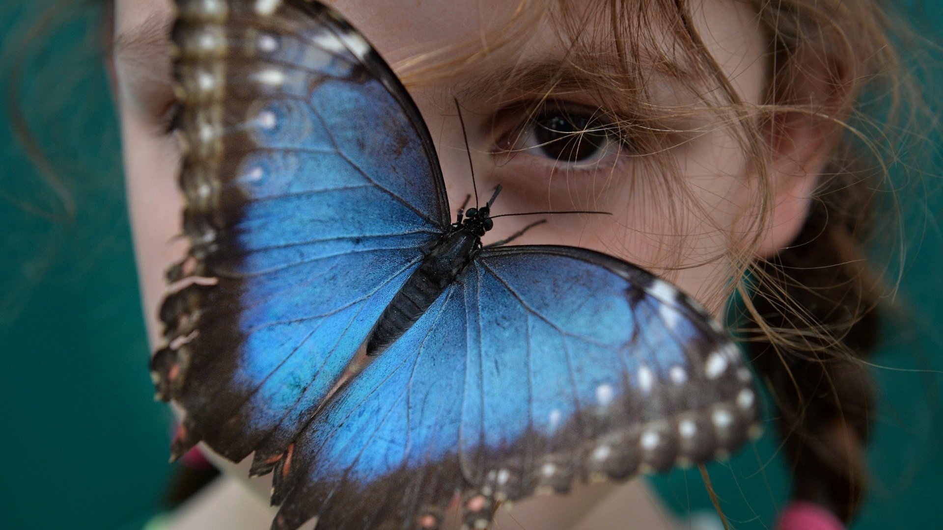 Обои глаза, настроение, насекомое, взгляд, бабочка, крылья, девочка, лицо, eyes, mood, insect, look, butterfly, wings, girl, face разрешение 1920x1200 Загрузить