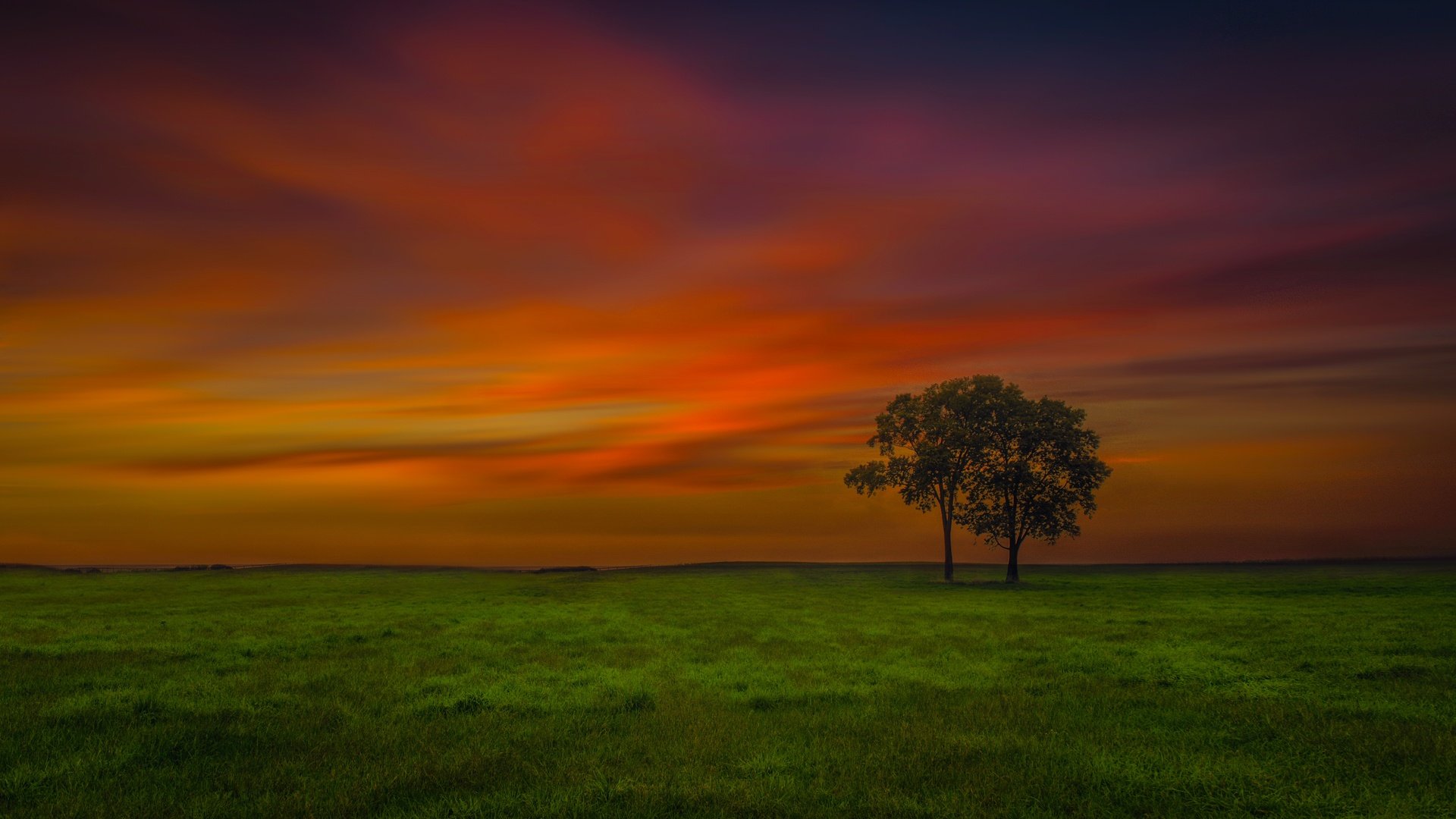 Обои небо, вечер, дерево, поле, the sky, the evening, tree, field разрешение 6452x3888 Загрузить